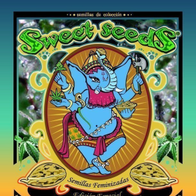 Collector #5 - SWEET SEEDS | TanieSianie.pl