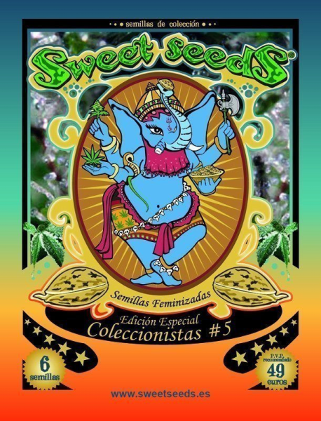 Collector #5 - SWEET SEEDS | TanieSianie.pl