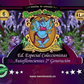 Autoflowering Collector 2 + Generation Edition - SWEET SEEDS | TanieSianie.pl