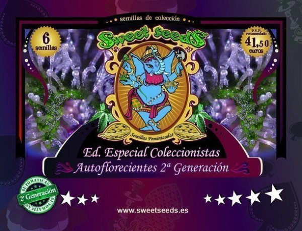 Autoflowering Collector 2 + Generation Edition - SWEET SEEDS | TanieSianie.pl