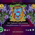 Autoflowering Collector 2 + Generation Edition - SWEET SEEDS