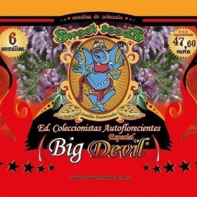Autoflowering Collector Big Devil Edition - SWEET SEEDS | TanieSianie.pl