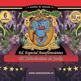Autoflowering Collector Jacks Edition - SWEET SEEDS | TanieSianie.pl