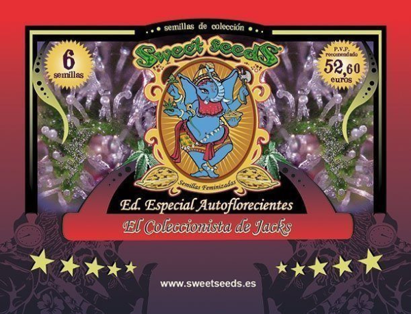 Autoflowering Collector Jacks Edition - SWEET SEEDS | TanieSianie.pl