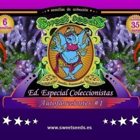 Autoflowering Collector - SWEET SEEDS | TanieSianie.pl