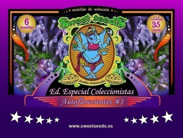 Autoflowering Collector - SWEET SEEDS | TanieSianie.pl