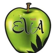 Eva Seeds