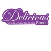 Delicious Seeds