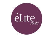 Elite Seeds