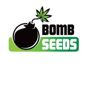 Bomb Seeds