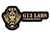 G13 Labs
