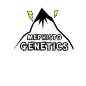 Mephisto Genetics