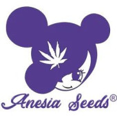 Anesia Seeds