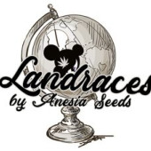 Landraces