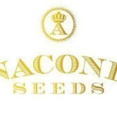 Anaconda Seeds