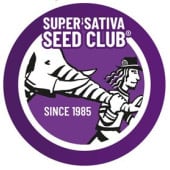 Super Sativa Seed Club