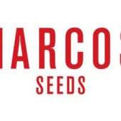 Narcos Seeds