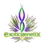 Exotic Genetix