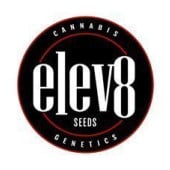 Elev8 Seeds