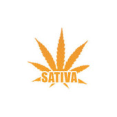 NASIONA SATIVA