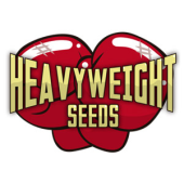 Heavyweight Seeds