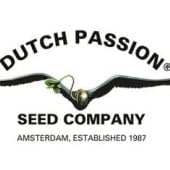 Dutch Passion