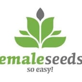 Female Seeds