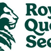 Royal Queen Seeds