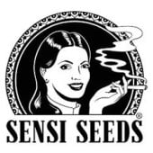 Sensi Seeds