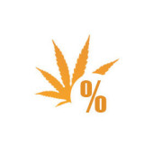 GŁÓWNIE SATIVA