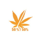 50% INDICA / 50% SATIVA