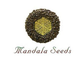 Mandala Seeds
