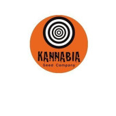 Kannabia Seed