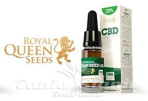 CBD Hemp Seed Oil 20% ROYAL QUEEN SEEDS