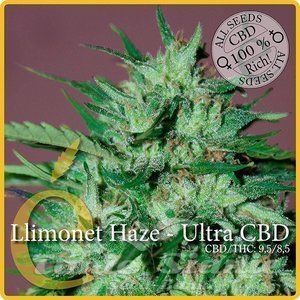 ELITE SEEDS - Llimonet Haze Ultra CBD