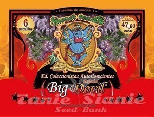 SWEET SEEDS - Autoflowering Collector Big Devil Edition