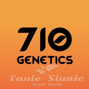 710 GENETICS - C99 Haze