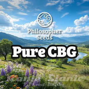 Pure CBG - PHILOSOPHER SEEDS