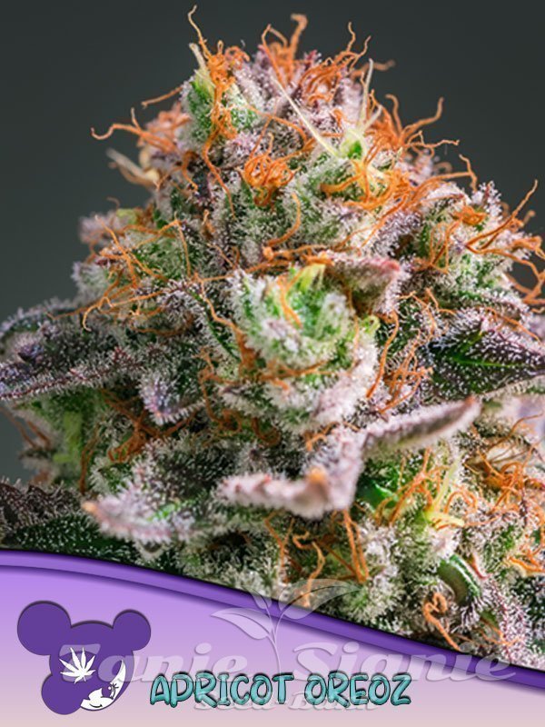 THXE 20%［1ml］OREOZ THXE 20%［1ml］OREOZ Oreoz Strain | THCa Flower | Mood