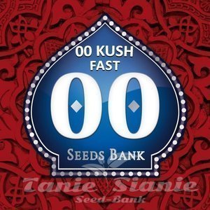 00 Kush Fast - 00 SEEDS BANK