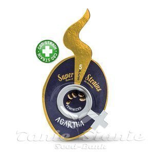 Nasiona Agartha CBD - SUPER STRAINS