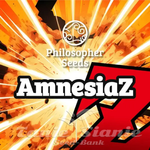 AmnesiaZ - PHILOSOPHER SEEDS
