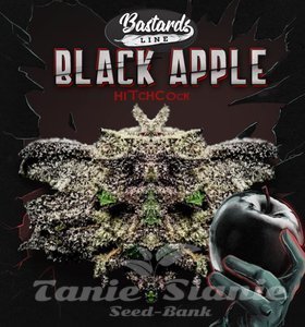 Black Apple Hitchcock - T.H. SEEDS