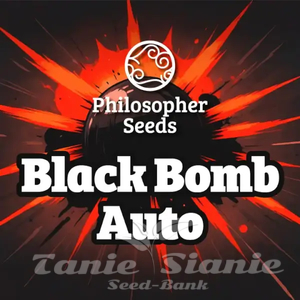 Black Bomb Auto - PHILOSOPHER SEEDS