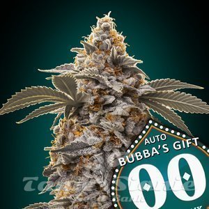Bubba's Gift Auto - 00 SEEDS BANK