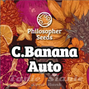 C.Banana Auto - PHILOSOPHER SEEDS