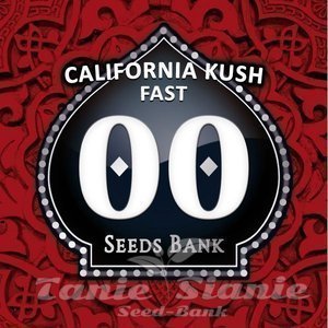 California Kush fast - 00 SEEDS BANK