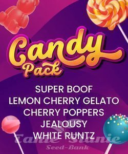 Nasiona Candy Pack - BARNEY'S FARM
