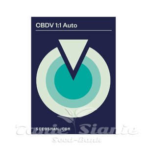 CBDV 1:1 Auto - SEEDSMAN