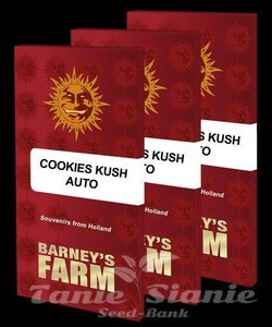 Cookies Kush Auto - BARNEY'S FARM